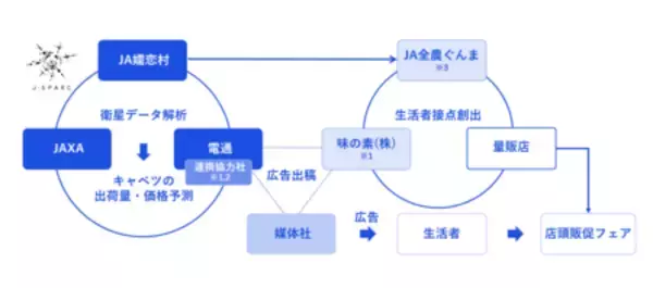 「人工衛星データに基づく予測でキャベツの広告・店頭販促を連動　首都圏・関西の量販店 約50店舗で順次開始」の画像