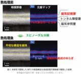 「シナプスの機能をナノサイズの磁気メモリスタで模倣」の画像2