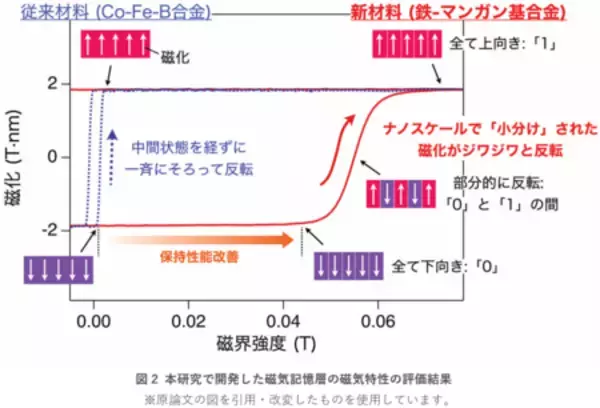 「シナプスの機能をナノサイズの磁気メモリスタで模倣」の画像