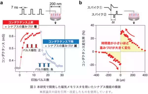 「シナプスの機能をナノサイズの磁気メモリスタで模倣」の画像