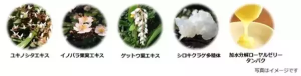 「高濃度ビタミンC※1とグルタチオン※2W配合の美容液を新発売」の画像