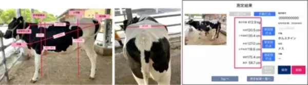 BIPROGY 牛の体尺/体重推計データの可視化で畜産業の生産性向上と経営効率を支援