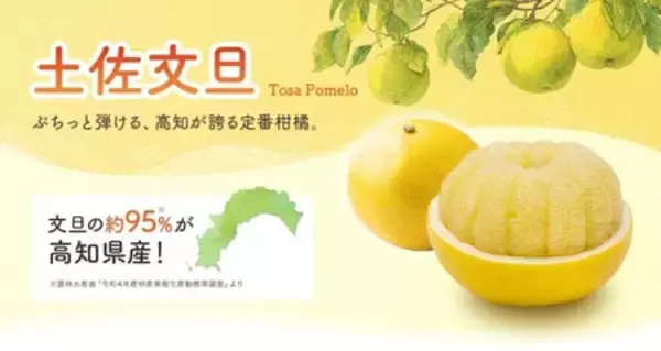 「高知県のショップ「とさのさとアグリコレット」で 対象商品が２０％ＯＦＦ！」の画像