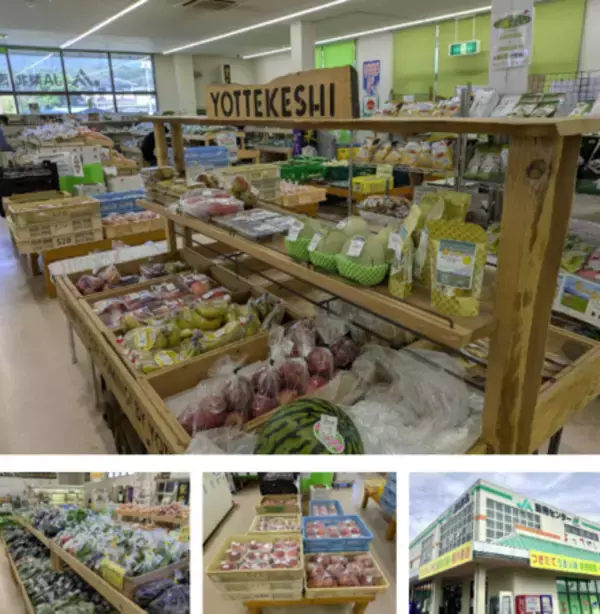 「第16回減災フォーラムを開催します【3/27】」の画像