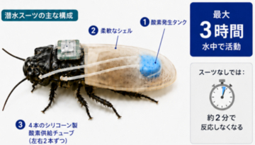 酸素供給スーツで3時間潜水するサイボーグ昆虫を実現