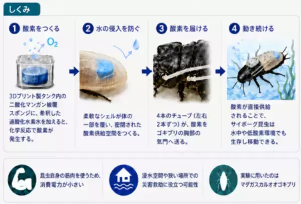 「酸素供給スーツで3時間潜水するサイボーグ昆虫を実現」の画像