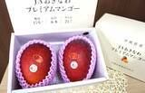 「｢マンゴーの日キャンペーン｣をJAタウン｢おきなわちゅら島｣で開催中！沖縄県産の南国フルーツを期間限定販売」の画像4