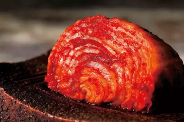 「近江の美食と匠の技が集う６日間！「第3７回 琵琶湖夢街道 大近江展」開催」の画像