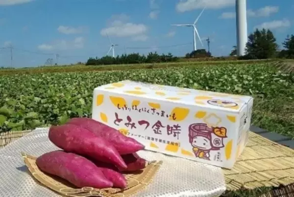 「ＪＡタウンのショップ「越前わかさ味浪漫」対象商品が２０％ＯＦＦの 「年度末大決算セール」を開催中！」の画像