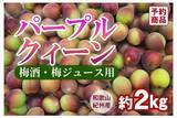 「日本一の収穫量を誇る和歌山県の梅をＪＡタウンで販売開始！」の画像4