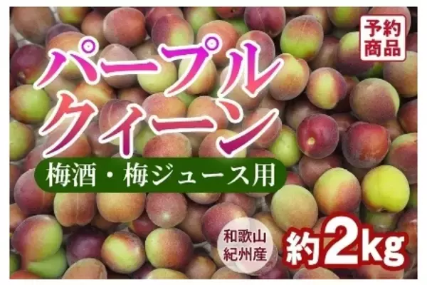 「日本一の収穫量を誇る和歌山県の梅をＪＡタウンで販売開始！」の画像