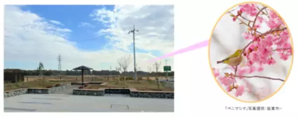 「[C4]首都圏中央連絡自動車道に新たな休憩施設がオープンします！」の画像