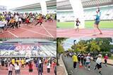 「大阪マラソン2027 SEASON TRIAL　10K & Fun RUN Presented by Osaka Metro」の画像1