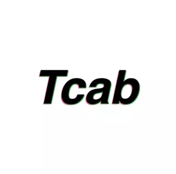 Tcab ティーキャブ 200カ国の運転資格の自動判定プログラムをリリース