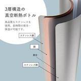 「【先行販売】ディズニー人気キャラクターの新作水筒！1月29日（木）よりアカチャンホンポで先行販売開始！」の画像12