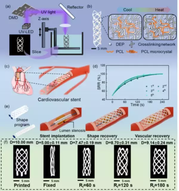 体温で自動的に展開する血管ステントを開発