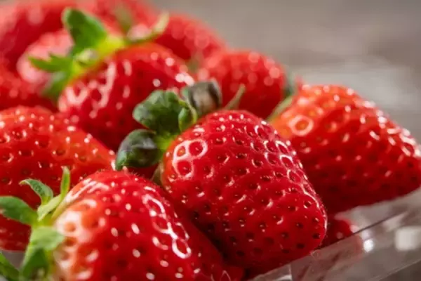 「霧島国際ホテル いちごと旬の料理を思う存分味わう「春のいろどり旬彩フェア」開催」の画像