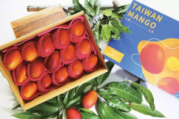 「日台連携の農産流通モデル構築へ 台南市政府など4者がMOU締結」の画像