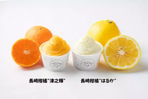 食品ロス削減に貢献する新商品！規格外の長崎県産柑橘「はるか」「津之輝」を使用したジェラートが誕生
