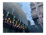 「東京・日本橋「ここ滋賀」で ビワコロチャレンジ！ 合言葉は、「琵琶湖の面積は、滋賀県の約６分の１！」」の画像6