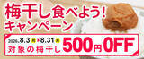 「「ＪＡタウン」の「ココ、カラ。和歌山マルシェ」で 「梅干し食べよう！キャンペーン」を開催！」の画像1