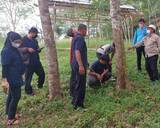 「持続可能な天然ゴム調達に向けた、小規模農家支援プログラムを実施」の画像2