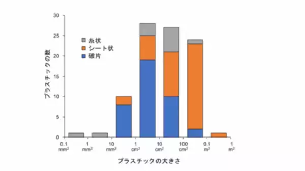 「小笠原に回遊するアオウミガメのプラスチック汚染の実態を解明」の画像