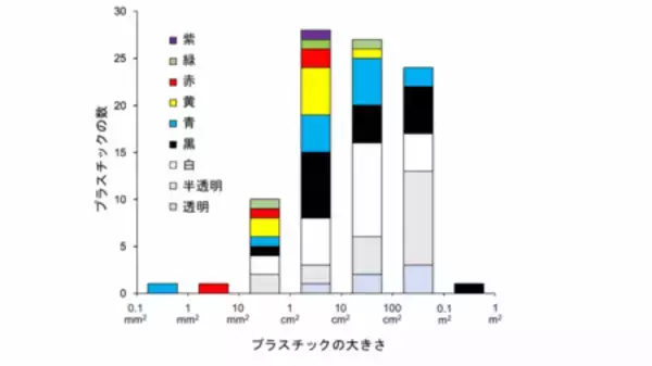 「小笠原に回遊するアオウミガメのプラスチック汚染の実態を解明」の画像