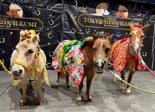 東京メガイルミ2025‐2026 「午（うま）年MEGA新春イベント」を開催