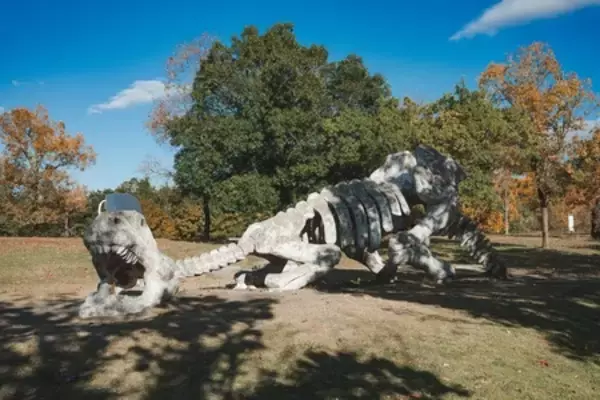 「〖企画連載 Vol.8〗あわら色｜写真家 tomosaki が切り取る 情景」の画像