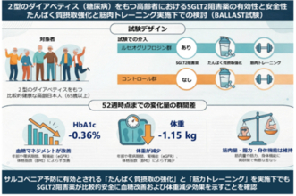 ダイアベティス（糖尿病）をもつ高齢者におけるSGLT2阻害薬の有効性と安全性