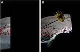 「変形型月面ロボット「LEV-2」(SORA-Q）による 月面実証成果の国際学術誌「Science Robotics」論文採択」の画像2