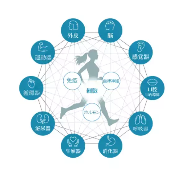 「肌年齢と生活習慣の関係性を確認した日本初（※）の地域疫学研究」の画像