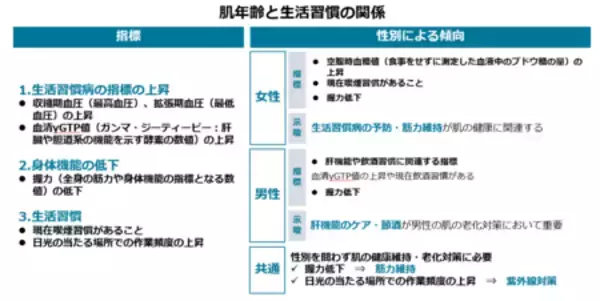 「肌年齢と生活習慣の関係性を確認した日本初（※）の地域疫学研究」の画像