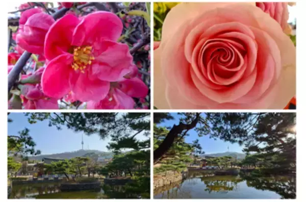 「＜Samsung＞「Samsung Galaxy A57 5G」（SIMフリーモデル）本日発売開始」の画像