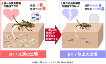 土壌が害虫発生に関わる仕組みを解明