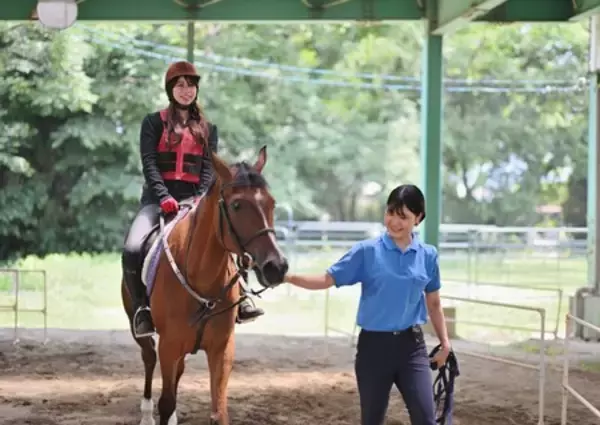 「2026年は“うま”くいく！ 滋賀で出会う馬にまつわる初詣と体験旅」の画像