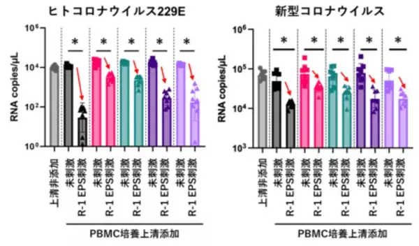 「R-1 EPS」で刺激した免疫細胞に由来する因子が新型コロナウイルスの増殖を抑制することを細胞試験で確認