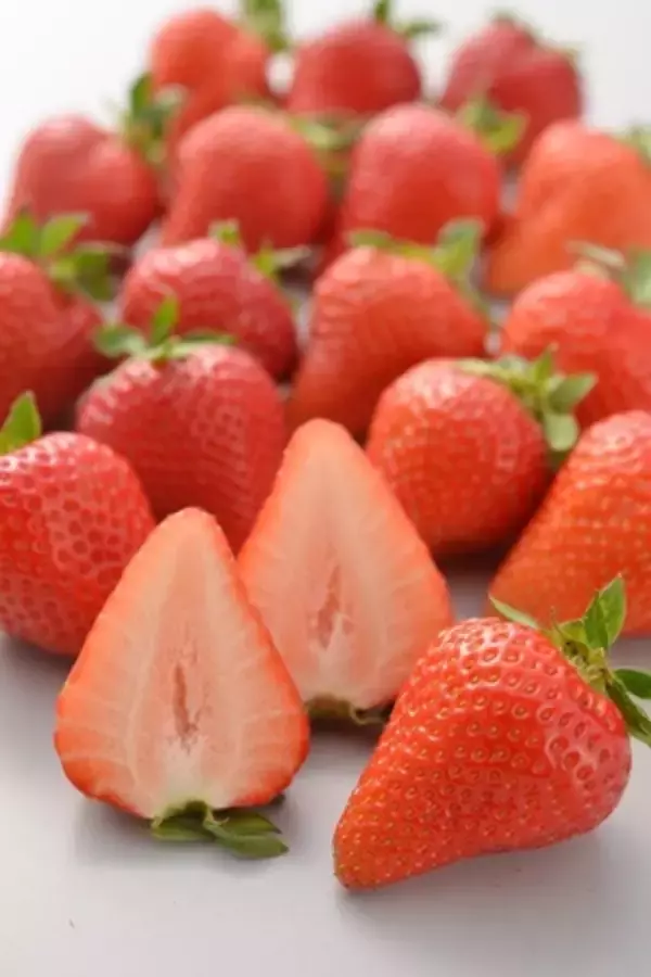 「ＪＡ全農がＪＲ大阪駅で「みのりみのるマルシェ 長崎の実り｣を ３月１４日に開催！」の画像