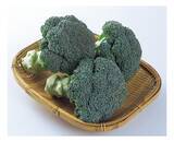 「ＪＡ全農がＪＲ大阪駅で「みのりみのるマルシェ 長崎の実り｣を ３月１４日に開催！」の画像4