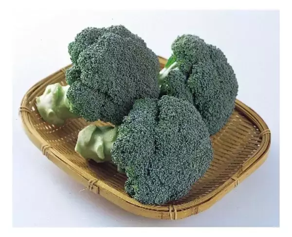 「ＪＡ全農がＪＲ大阪駅で「みのりみのるマルシェ 長崎の実り｣を ３月１４日に開催！」の画像