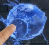 「人類の思考は進化できるのか ー AERIAL COMPUTING の記録」の画像1