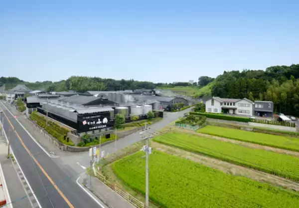 「小正醸造・「KOMASA GIN -抹茶-」を新定番商品として、 2026年5月22日（金）発売」の画像