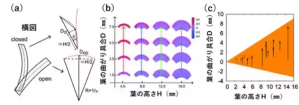 「ハエトリソウは「大きいほど速く閉じる」」の画像