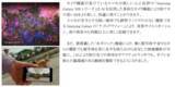 「【旅行のスマートフォン活用実態調査】2人に1人が抱える旅行の不満をSamsung Galaxyが解決」の画像10
