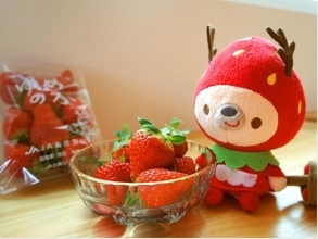 【日本におけるいちご伝来の地】長崎県のいちごをテーマにした川柳コンテストを初開催！