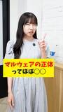 「「【検証】IT社員1000人アンケート！通勤時間って何してる？」を公開」の画像7
