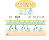 「DHCから初の“セラムインローション”が登場！」の画像3