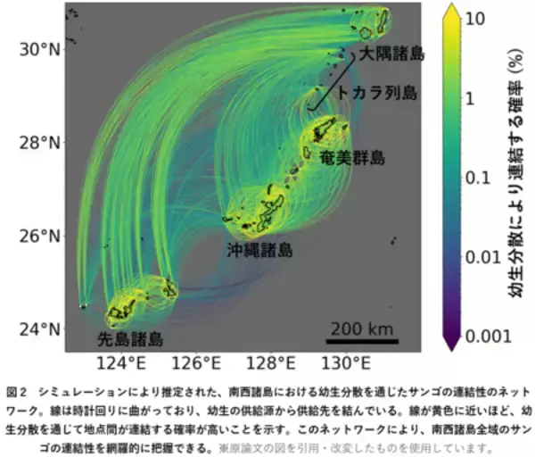 「サンゴ礁の島々をつなぐ中核となるサンゴ個体供給源を推定」の画像