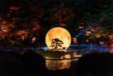 「福岡の夜に、新しい景色を。大濠公園日本庭園『宙-SORA-』が2026年6月30日で営業終了」の画像2